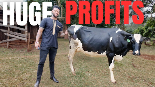 How To Start An Agricultural Business In Kenya Webinar